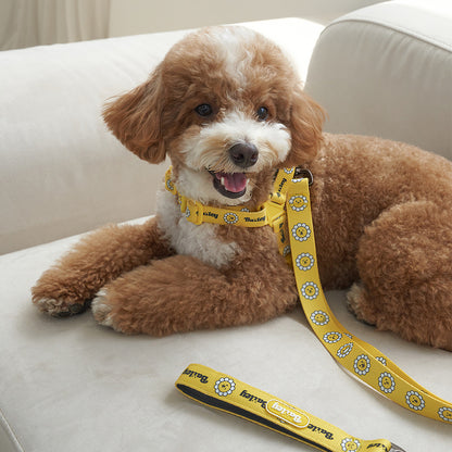 韓國新品上架【梨花娘總代理】🐾BAILEY 🐶秋冬新品 飽合亮色花朵微笑寵物牽繩(4色)