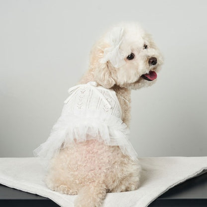 韓國新品上架【梨花娘總代理】🐾BAILEY 🐶秋冬新品 針織拼接蕾絲氣質優雅花朵芭蕾舞裙寵物服飾(2色)