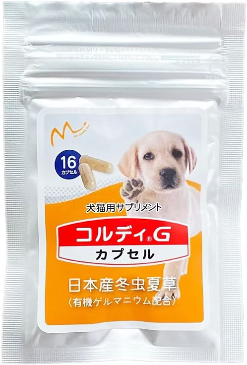 新品上架【梨花娘總代理】🎌日本300家獸醫院推薦 樂天暢銷NO.1 ｜日本專利 CORDY G 冬蟲夏草營養膠囊・犬貓適用體驗包（16粒）