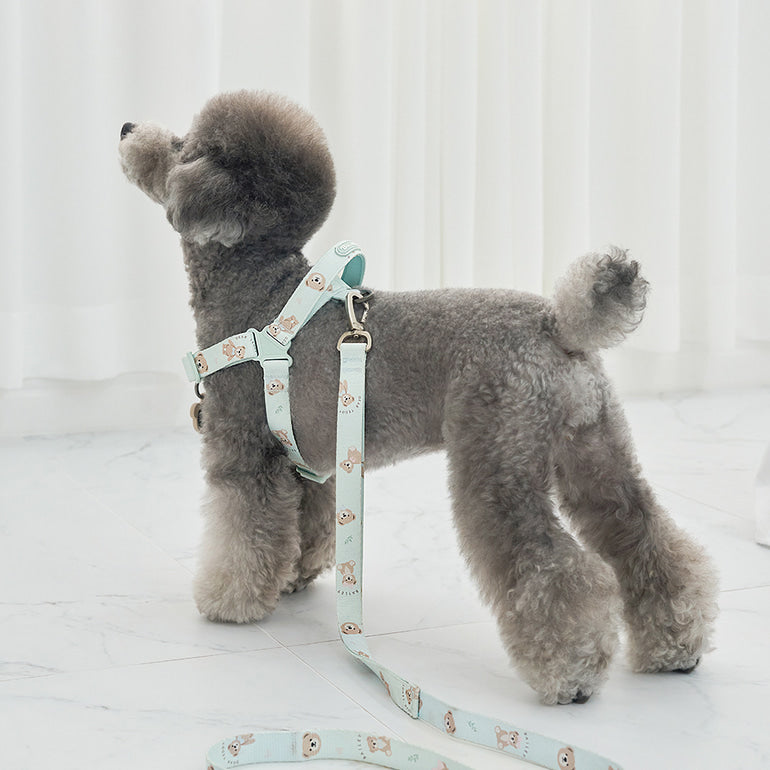 韓國新品上架【梨花娘總代理】🐾BAILEY 🐶秋冬新品 馬卡龍柔軟色系小熊圖案寵物胸背帶(3色)