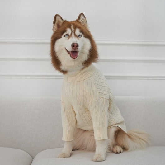 韓國新品上架【梨花娘總代理】🐾BAILEY 🐶秋冬新品 小熊刺繡保暖舒適針織寵物毛衣(5色)