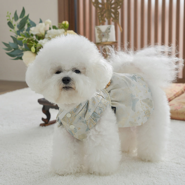 新品上架【梨花娘總代理】🐾韓國BAILEY 🐶秋冬新品 🧨新年編織結寶貝寵物掛福袋香包韓服(2色)