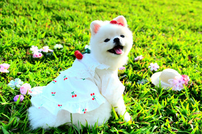 韓國BAILEY【梨花娘總代理】💖寵物精品精緻櫻桃小洋裝(現貨+預購)