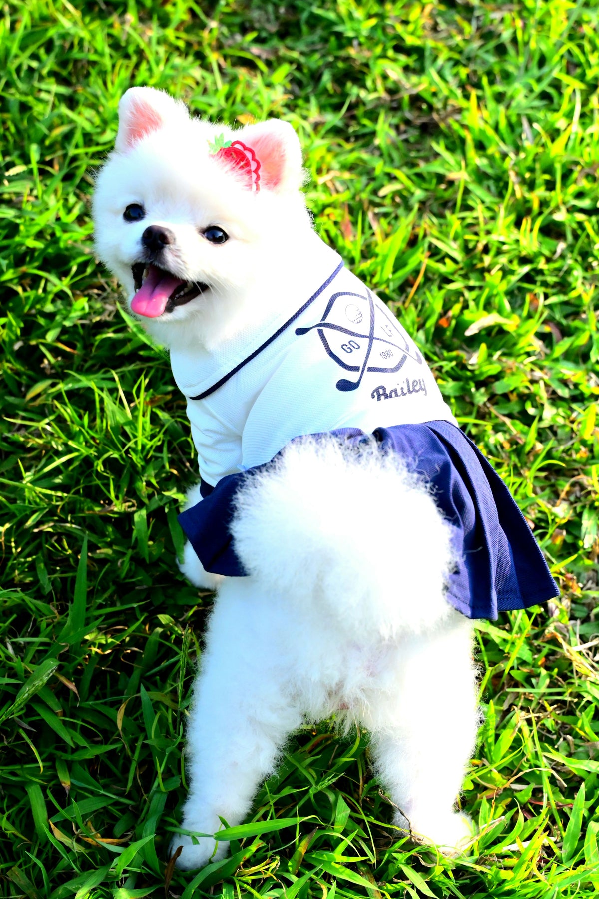 韓國BAILEY【梨花娘總代理】💖寵物品精緻高爾夫狗小洋裝(現貨+預購)