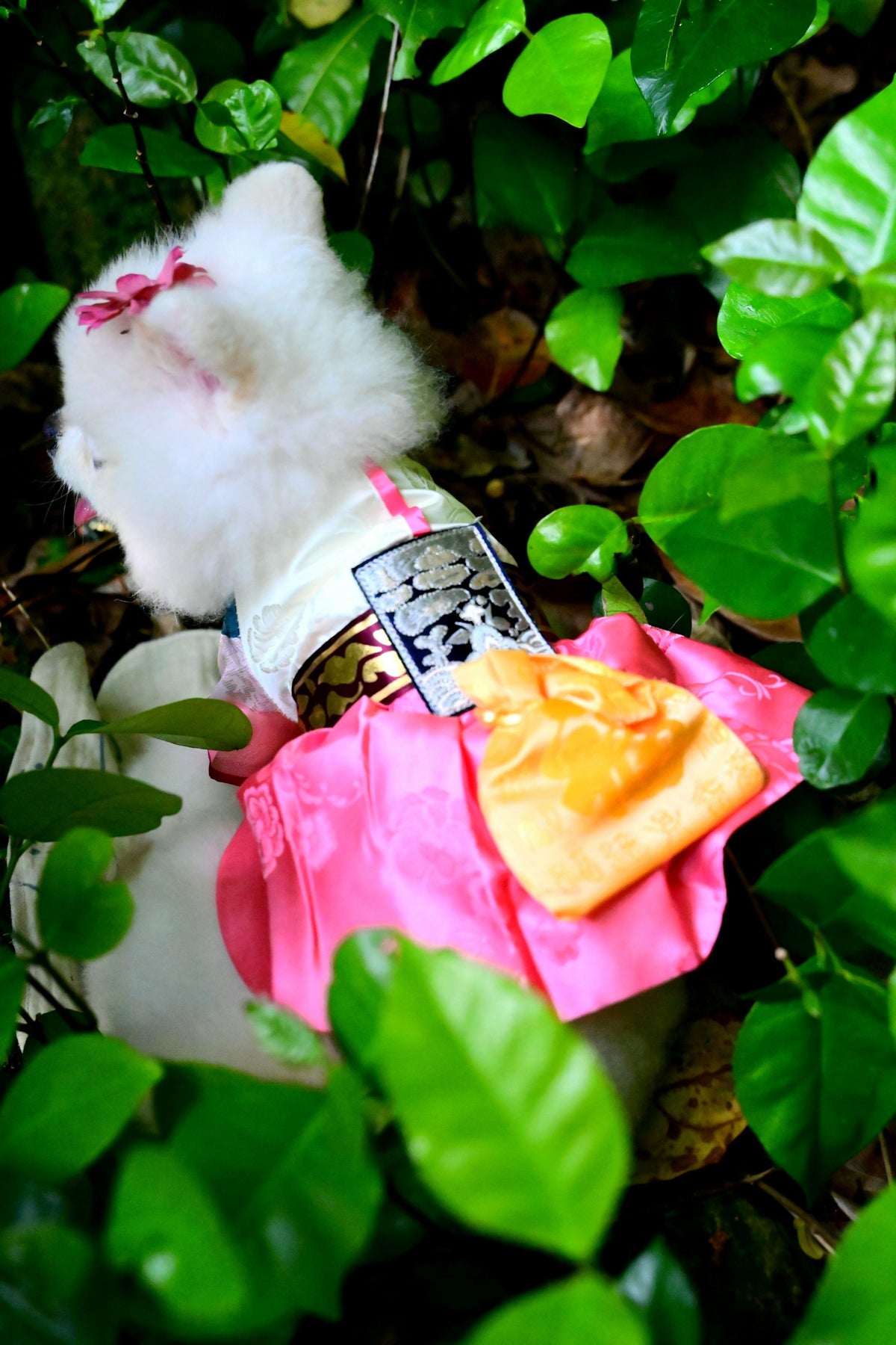 韓國BAILEY【梨花娘總代理】💖寵物品牌皇室韓服寵物刺繡衣服(現貨+預購)