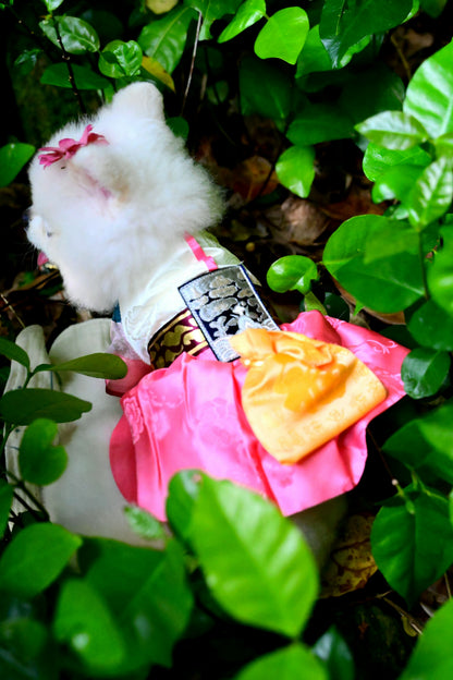 韓國BAILEY【梨花娘總代理】💖寵物品牌皇室韓服寵物刺繡衣服(現貨+預購)