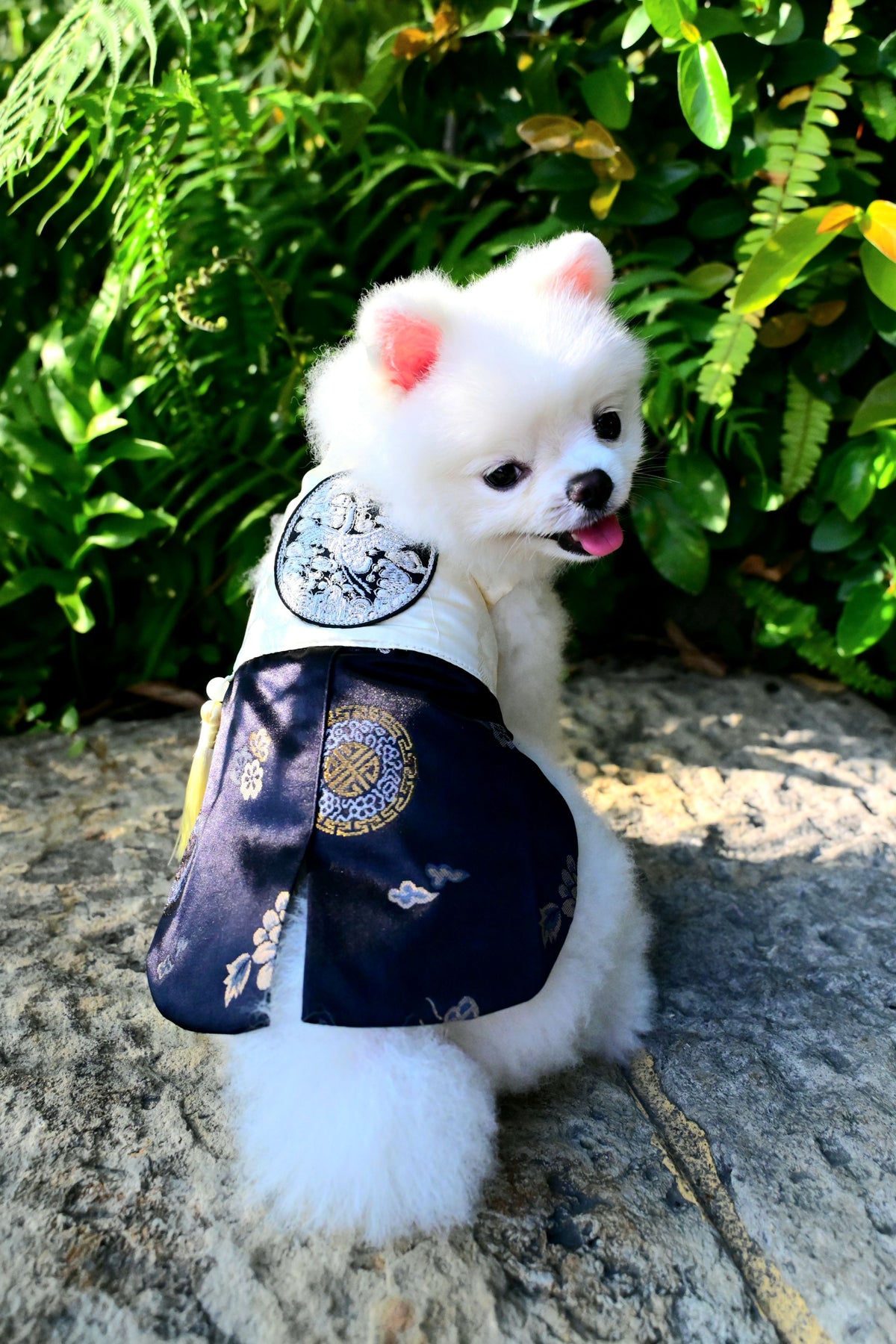 韓國BAILEY【梨花娘總代理】💖寵物品牌皇室韓服寵物刺繡衣服(現貨+預購)