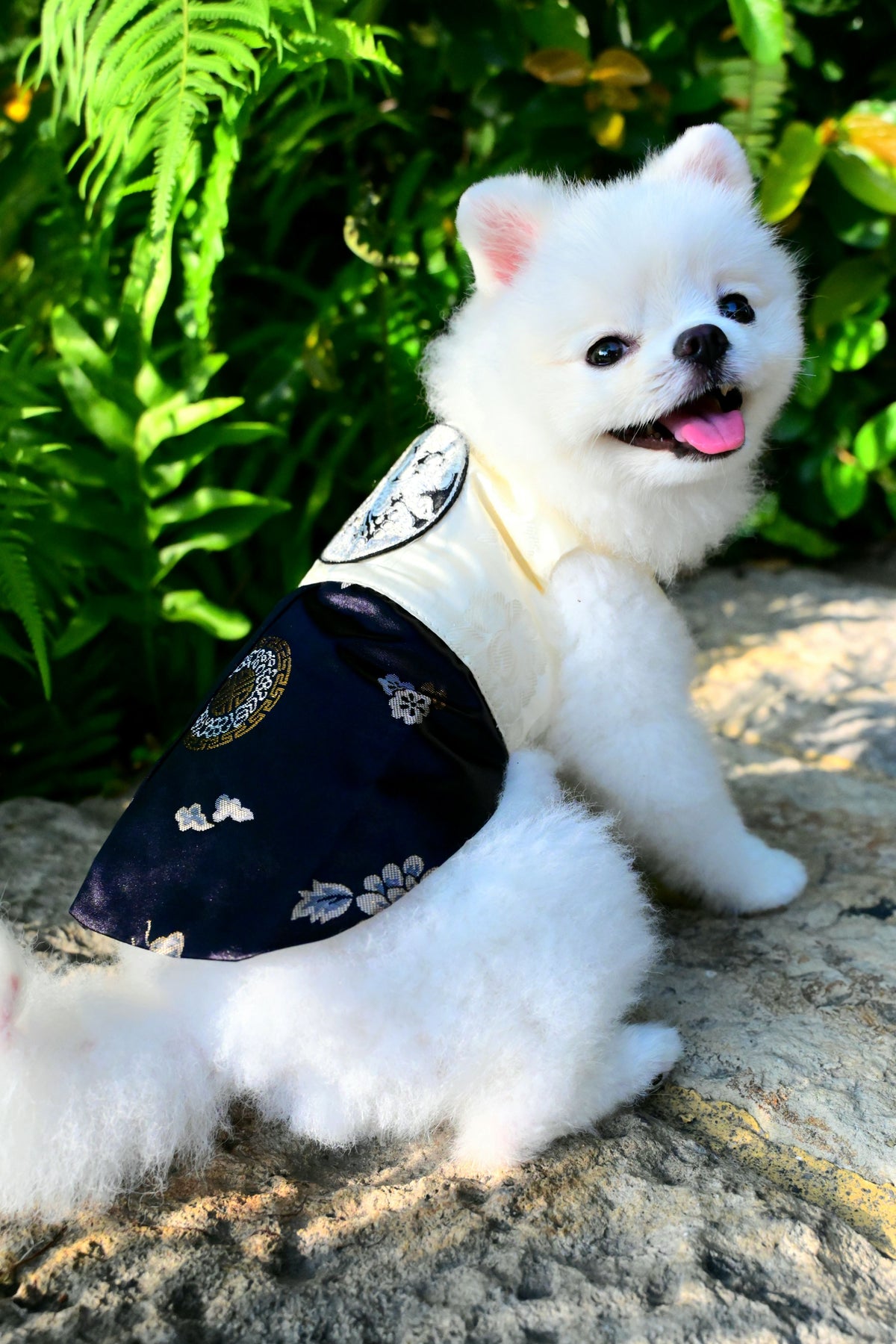 韓國BAILEY【梨花娘總代理】💖寵物品牌皇室韓服寵物刺繡衣服(現貨+預購)