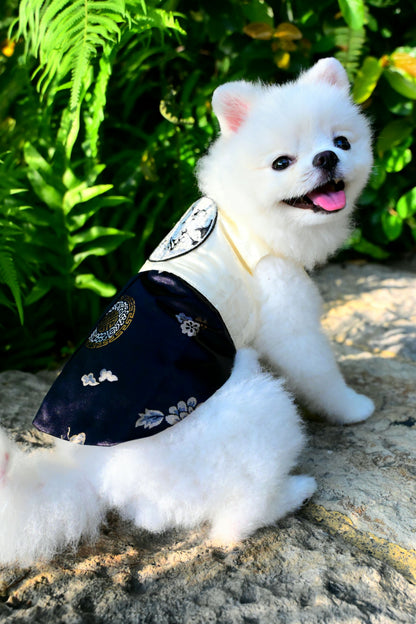 韓國BAILEY【梨花娘總代理】💖寵物品牌皇室韓服寵物刺繡衣服(現貨+預購)
