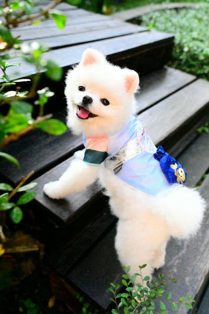 韓國BAILEY【梨花娘總代理】💖寵物品牌皇室韓服寵物刺繡衣服(現貨+預購)