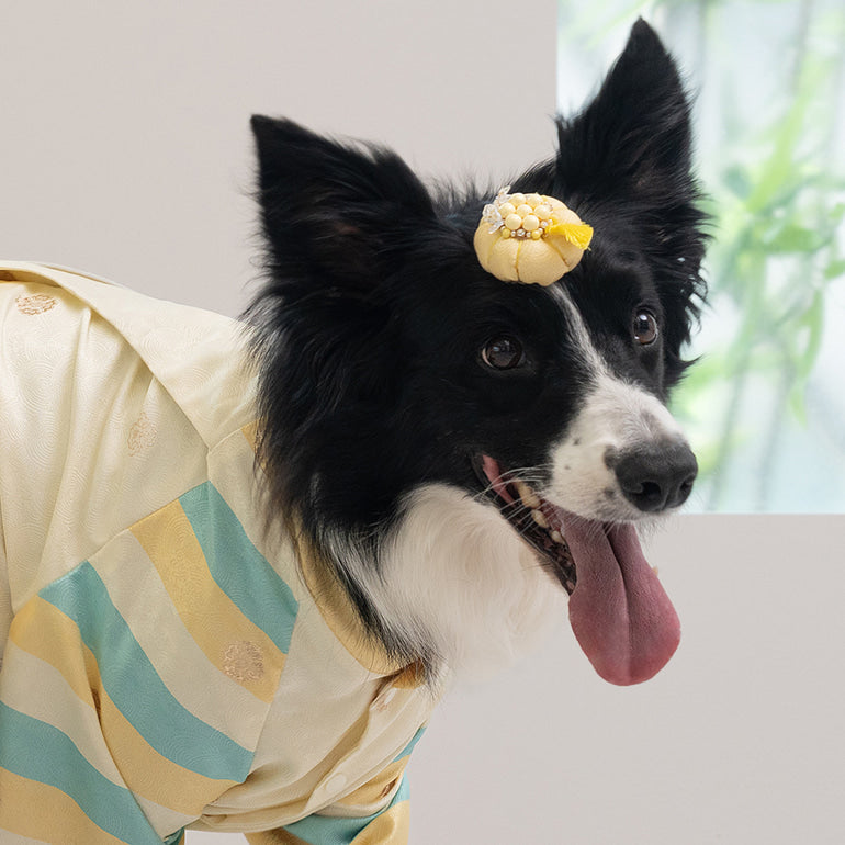 韓國新品上架【梨花娘總代理】🐾BAILEY 🐶韓系華麗宮庭風珍珠流蘇寵物髮夾(9色)