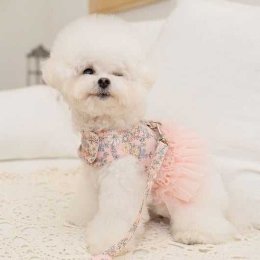 韓國新品上架【梨花娘總代理】🐾BAILEY 🐶新品 溫柔蕾絲荷葉法式小碎花寵物蓬蓬裙+牽引繩(2色)