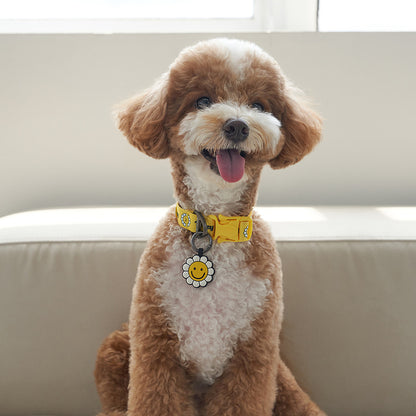 韓國新品上架【梨花娘總代理】🐾BAILEY 🐶秋冬新品 飽合亮色花朵微笑簡易款寵物項圈(4色)