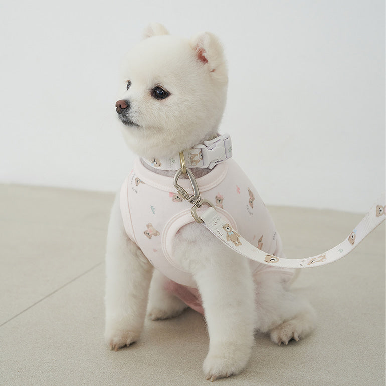 韓國新品上架【梨花娘總代理】🐾BAILEY 🐶秋冬新品 馬卡龍柔軟色系小熊圖案寵物牽繩(3色)