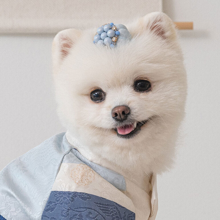 韓國新品上架【梨花娘總代理】🐾BAILEY 🐶韓系華麗宮庭風珍珠流蘇寵物髮夾(9色)