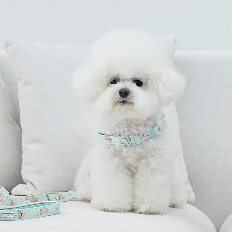 韓國新品上架【梨花娘總代理】🐾BAILEY 🐶秋冬新品 馬卡龍柔軟色系小熊圖案寵物胸背帶(3色)