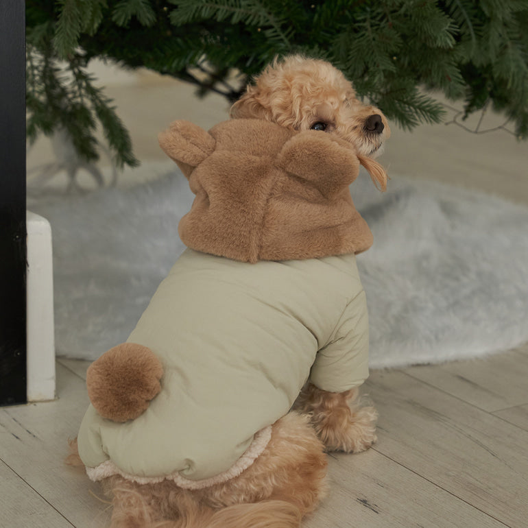 新品上架【梨花娘總代理】🐾BAILEY 🐶秋冬新品 小熊連帽毛球防潑水鋪棉寵物外套(2色) 寵愛禮物