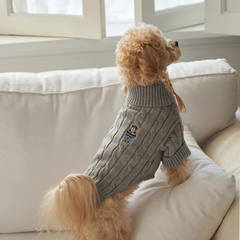 韓國新品上架【梨花娘總代理】🐾BAILEY 🐶秋冬新品 小熊刺繡保暖舒適針織寵物毛衣(5色)