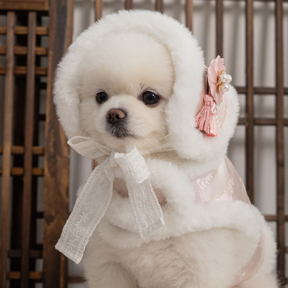 【梨花娘總代理】🐾BAILEY 🐶韓國雪花保暖鋪棉寵物宮廷刺繡棉背心(可另購耳罩(3色))