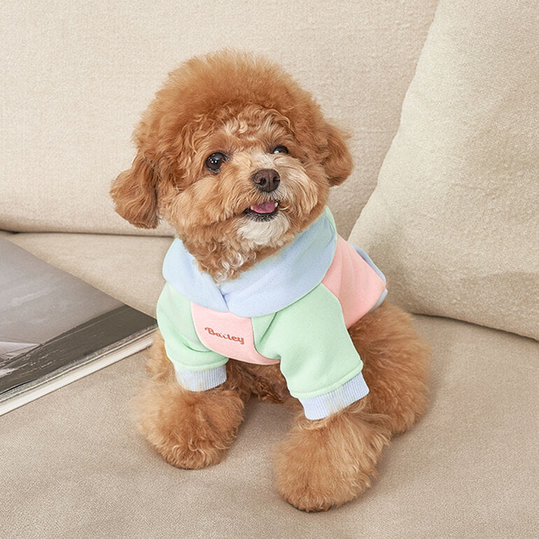 韓國新品上架【梨花娘總代理】🐾BAILEY 🐶秋冬新品 繽紛馬卡龍拼接網球保暖親膚連帽寵物服飾
