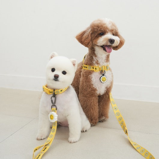 韓國新品上架【梨花娘總代理】🐾BAILEY 🐶秋冬新品 飽合亮色花朵微笑寵物牽繩(4色)