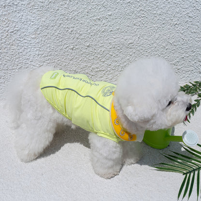 韓國BAILEY💖【梨花娘總代理】夏日必備菌菌掰掰輕薄快乾透氣水陸兩用寵物衣(帽子另購3色)
