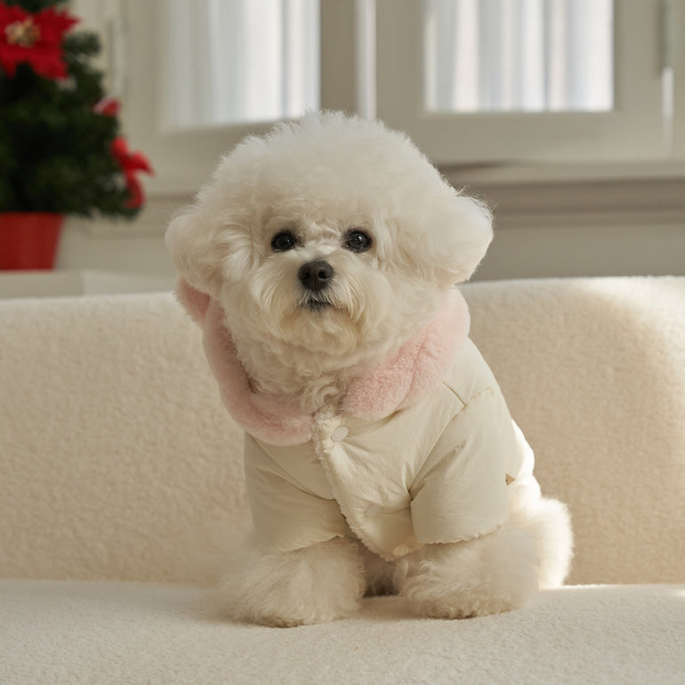 新品上架【梨花娘總代理】🐾BAILEY 🐶秋冬新品 小熊連帽毛球防潑水鋪棉寵物外套(2色) 寵愛禮物