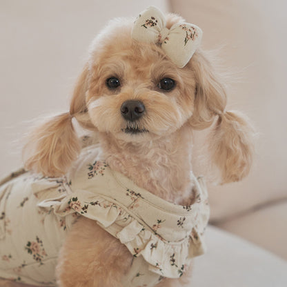 韓國新品上架【梨花娘總代理】🐾BAILEY 🐶秋冬新品 親膚純棉荷葉邊復古小碎花寵物服飾(2色)