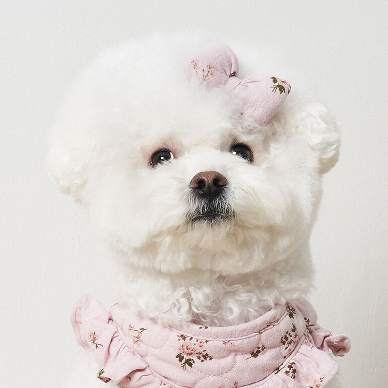 韓國新品上架【梨花娘總代理】🐾BAILEY 🐶韓系甜美可愛蝴蝶結鍛帶寵物髮夾(7色)