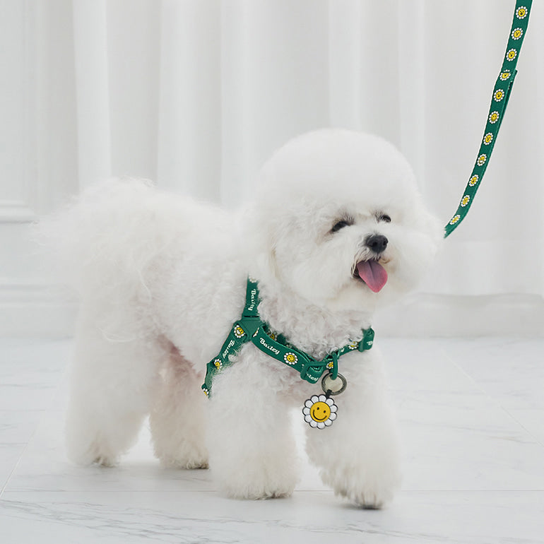 韓國新品上架【梨花娘總代理】🐾BAILEY 🐶秋冬新品 Daisy 雛菊亮色花朵微笑寵物胸背帶(4色)