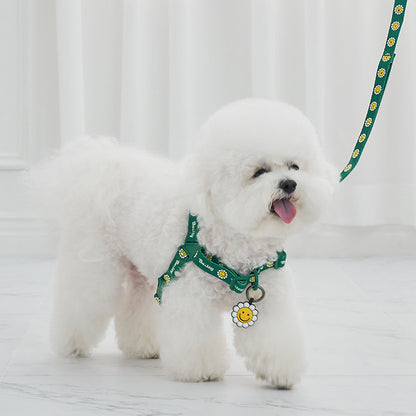 韓國新品上架【梨花娘總代理】🐾BAILEY 🐶秋冬新品 Daisy 雛菊亮色花朵微笑寵物胸背帶(4色)