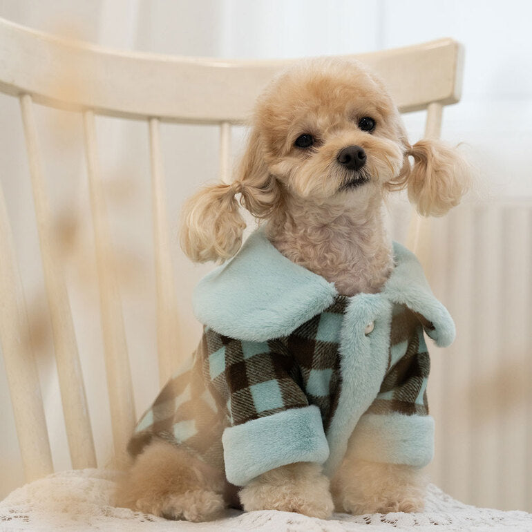 韓國新品上架【梨花娘總代理】🐾BAILEY 🐶秋冬新品 格子翻領珍珠鈕釦保暖寵物毛衣(2色)
