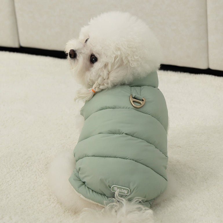 🔥新品上架【梨花娘總代理】🐈‍⬛BAILEY 超輕薄保暖防風腰部可調節兩面可穿搭羽絨棉寵物服(帽子另購3色) 聖誕禮物