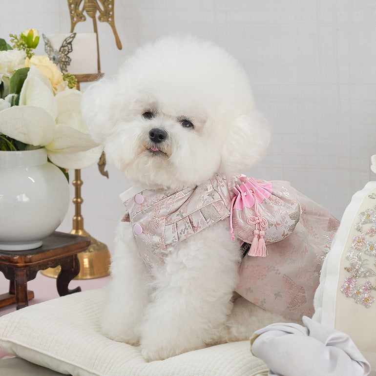 新品上架【梨花娘總代理】🐾韓國BAILEY 🐶秋冬新品 🧨新年編織結寶貝寵物掛福袋香包韓服(2色)