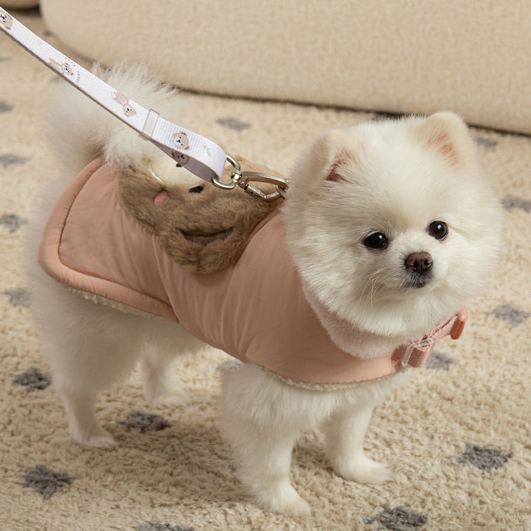 🔥新品上架【梨花娘總代理】🐈‍⬛BAILEY 泰迪熊口袋圖案防風鋪棉寵物服飾(4色) 寶貝禮物