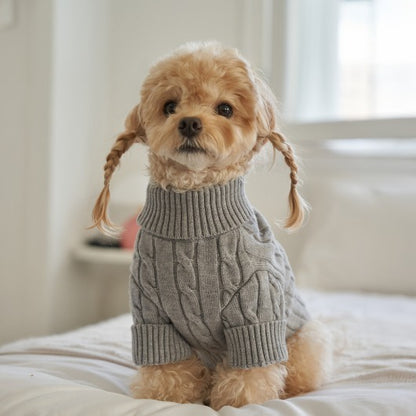 韓國新品上架【梨花娘總代理】🐾BAILEY 🐶秋冬新品 小熊刺繡保暖舒適針織寵物毛衣(5色)