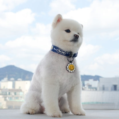 韓國新品上架【梨花娘總代理】🐾BAILEY 🐶秋冬新品 飽合亮色花朵微笑簡易款寵物項圈(4色)