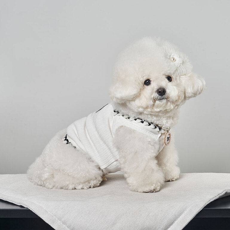 韓國新品上架【梨花娘總代理】🐾BAILEY 🐶秋冬新品 山茶花刺繡方形領口粗花編織保暖針織寵物服飾(2色)