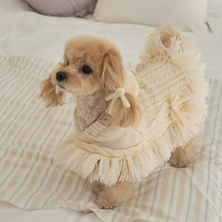 韓國【梨花娘總代理】🐾BAILEY 🐶秋冬新品 針織毛線斗篷連帽蝴蝶結保暖寵物毛衣(2色)