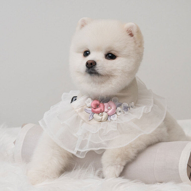 【梨花娘總代理】🐶 韓國BAILEY💖寵物品牌精緻婚紗夢幻領巾(現貨+預購)