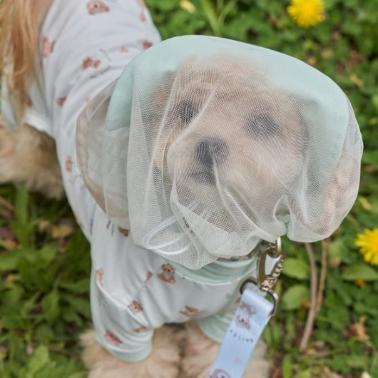 💕【梨花娘總代理】🐾韓國BAILEY 🐶夏季外出透氣防蟲防誤食面罩(4色)