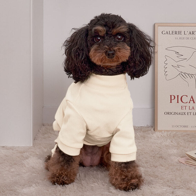 韓國新品上架【梨花娘總代理】🐾BAILEY 🐶秋冬新品 素色半高領彈性舒適柔軟寵物服飾(2色)