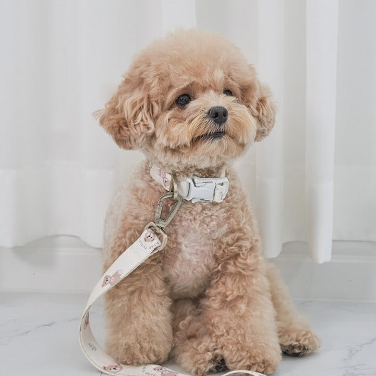 韓國新品上架【梨花娘總代理】🐾BAILEY 🐶秋冬新品 馬卡龍柔軟色系小熊圖案簡易款寵物項圈(3色)