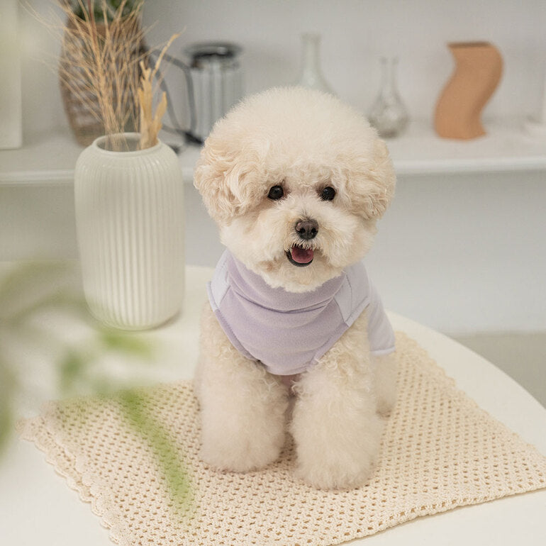 韓國新品上架【梨花娘總代理】🐾BAILEY 🐶秋冬新品 柔軟菌菌拜拜內襯防潑水高領設計保暖寵物服飾(3色)
