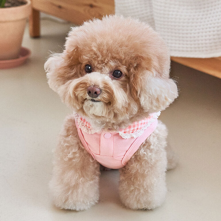 韓國新品上架【梨花娘總代理】🐾BAILEY 🐶秋冬新品 韓系溫小公主格子領蕾絲邊刺繡寵物服飾(3色)