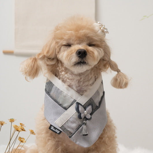 韓國新品上架【梨花娘總代理】🐾BAILEY 🐶秋冬新品 韓國皇室蝴蝶流蘇精緻韓服領巾(4色)