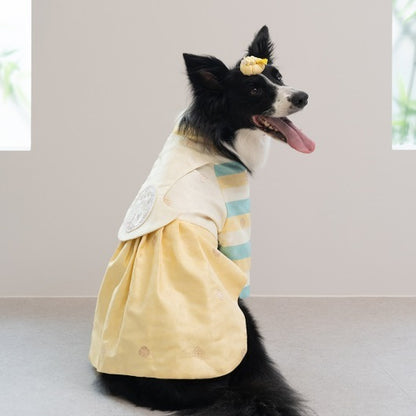 韓國新品上架【梨花娘總代理】🐾BAILEY 🐶秋冬新品 皇室公主刺繡百褶裙寵物韓服(2色)