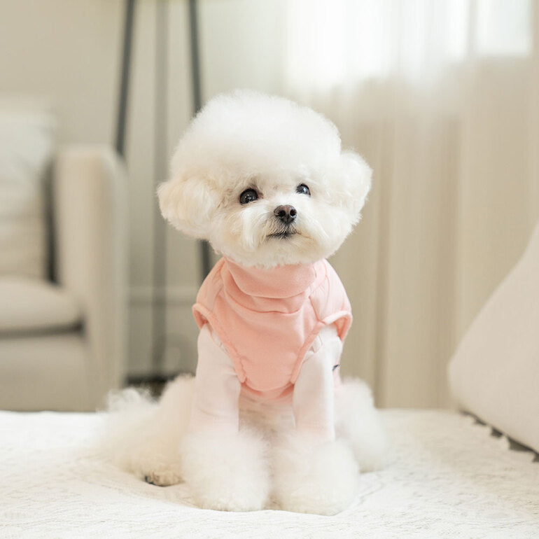 韓國新品上架【梨花娘總代理】🐾BAILEY 🐶秋冬新品 柔軟菌菌拜拜內襯防潑水高領設計保暖寵物服飾(3色)