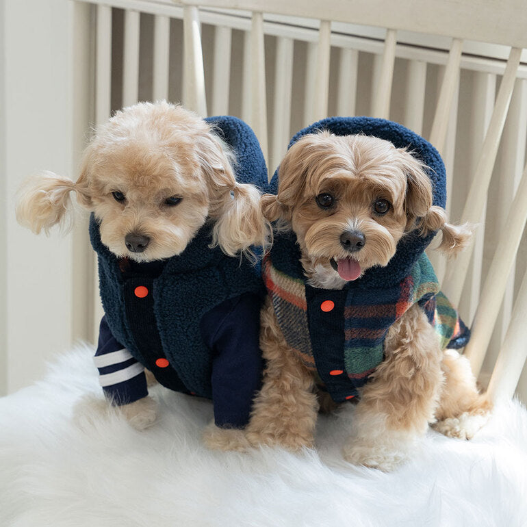 韓國新品上架【梨花娘總代理】🐾BAILEY 🐶秋冬新品 雙面穿搭刺繡logo連帽寵物保暖外套