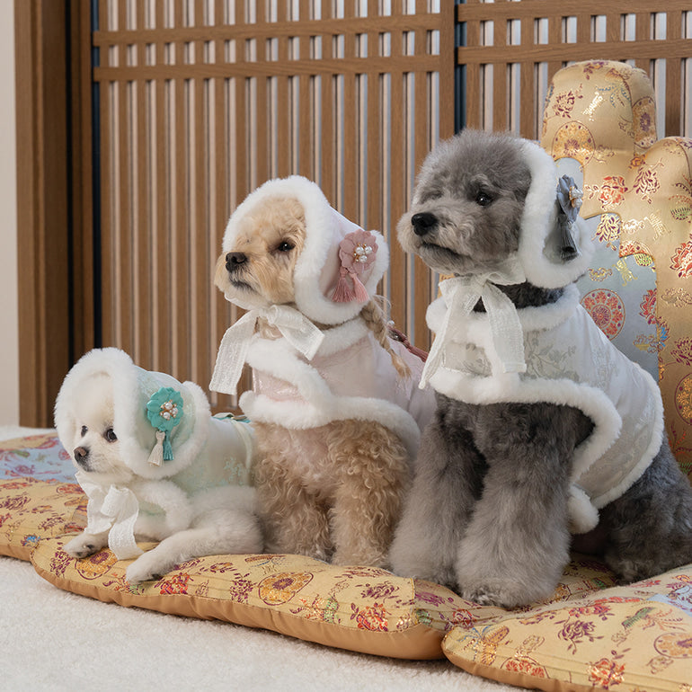 【梨花娘總代理】🐾BAILEY 🐶韓國雪花保暖鋪棉寵物宮廷刺繡棉背心(可另購耳罩(3色))